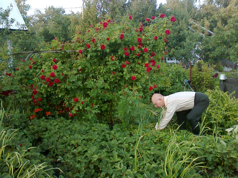 Sofja Devjakovits | Таллин