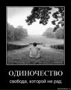 Фотография Вадим Михеев