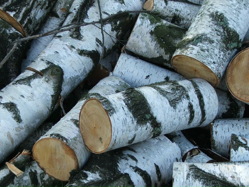 №109, Ирина Костюченко, 46 лет, Псков №109, Ирина Костюченко, 46 лет, Псков