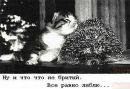 №25 Марина Володченко 27.09: профиль, фото, статус - ВКонтакте