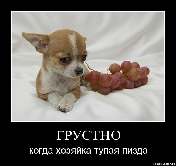 №45, Мари Вишневская, 37 лет №45, Мари Вишневская, 37 лет