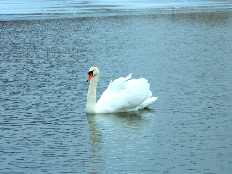 Nik Doronin | Санкт-Петербург