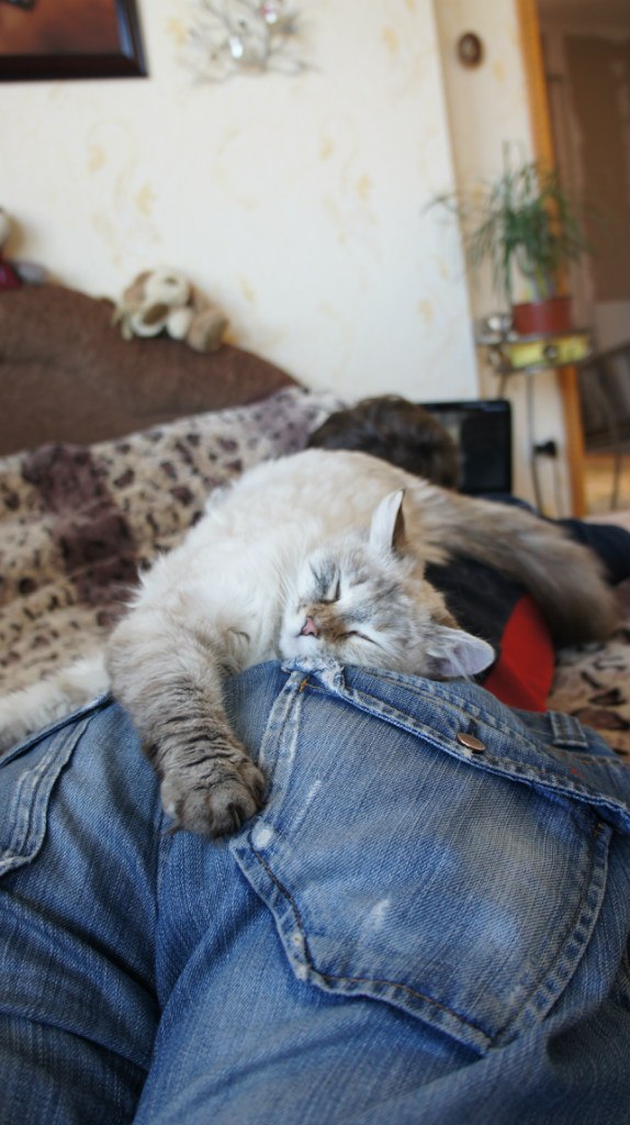 Иришка Корнилова (:IRISH:) | Бровары