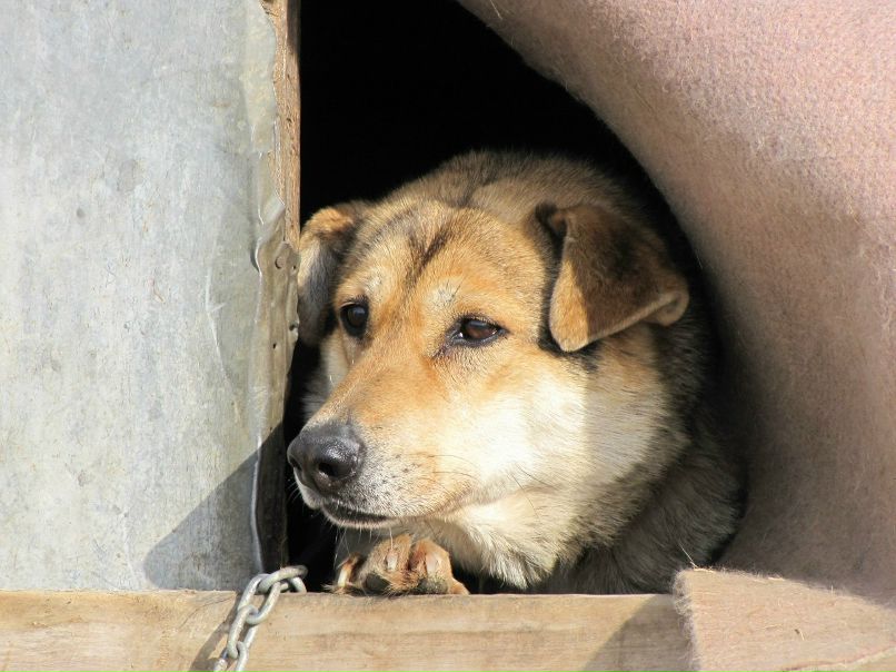 Эдуард Логунов | Кировск