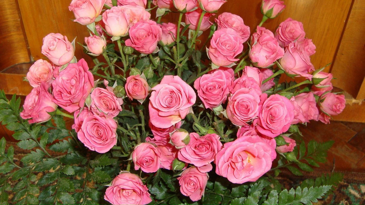 Марина Тузова | Санкт-Петербург