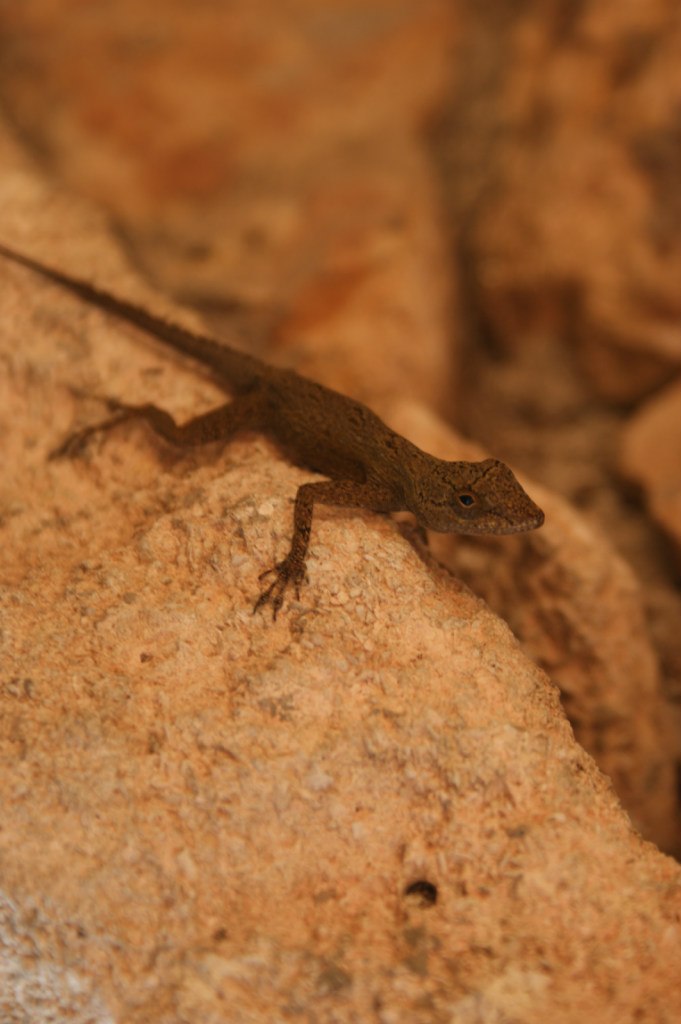 Кирилл Дроздов-Тихомиров | Москва