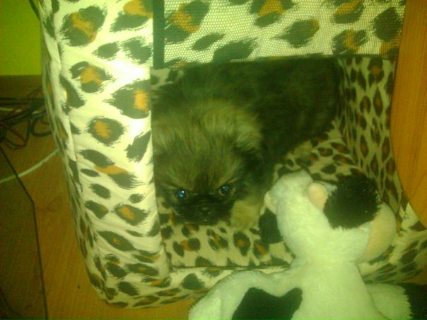 №30, Ирусик Щербинина-Аблова, 36 лет, Тамбов №30, Ирусик Щербинина-Аблова, 36 лет, Тамбов