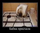 Фотография Закадр Вникадрович нитронутый
