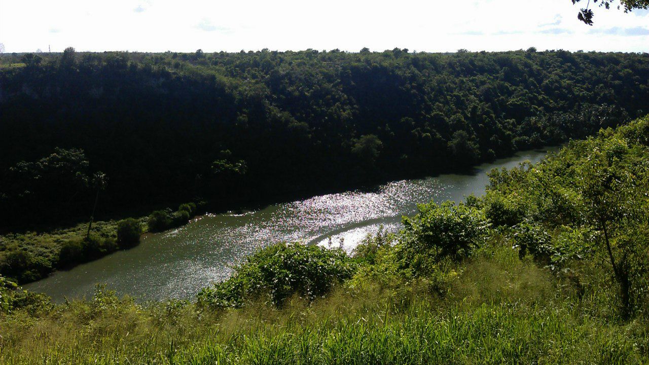 Иван Алексеев | Москва