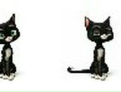 Евгений Лапкин | Мытищи