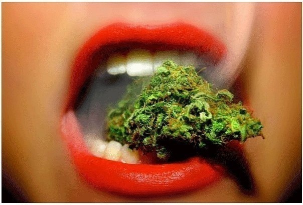 №133, Дарья Губкина, 35 лет, Севастополь №133, Дарья Губкина, 35 лет, Севастополь