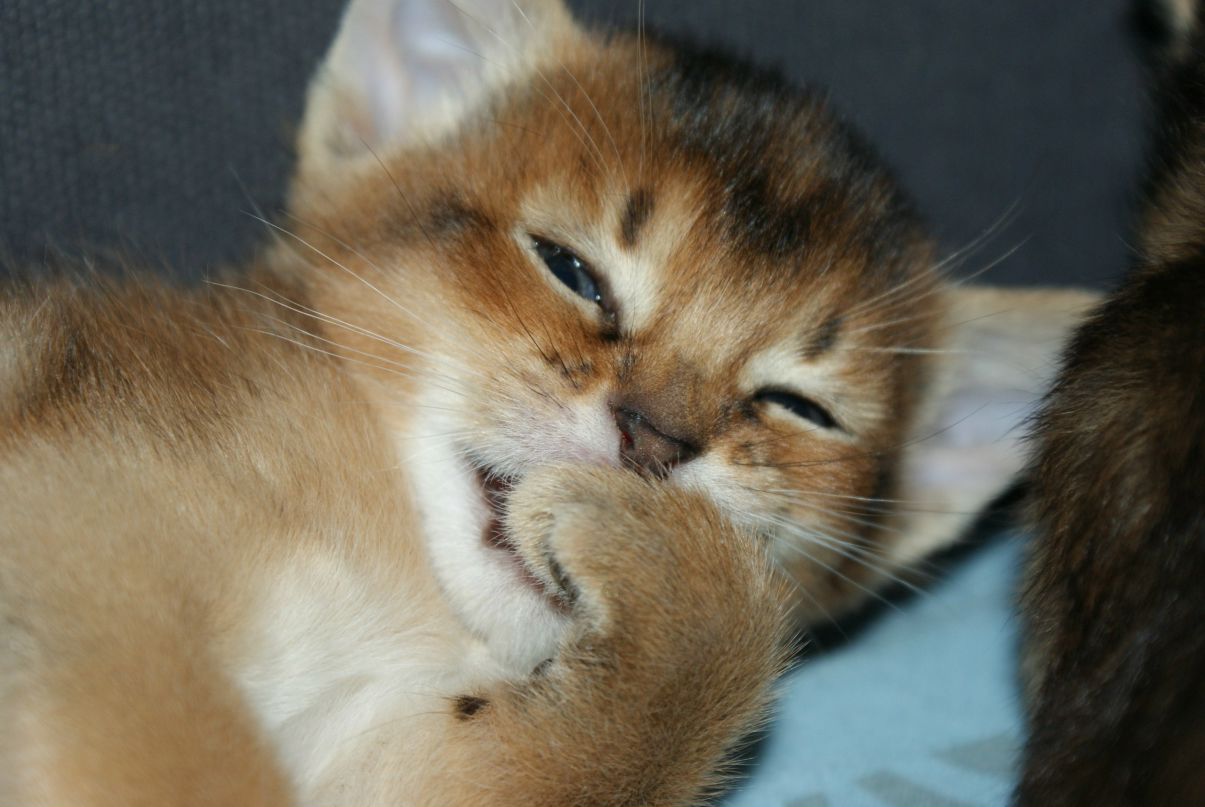 Герман Аржаев ✈ ✈ ✈ ✈ ✈ ✈ ✈ | Санкт-Петербург