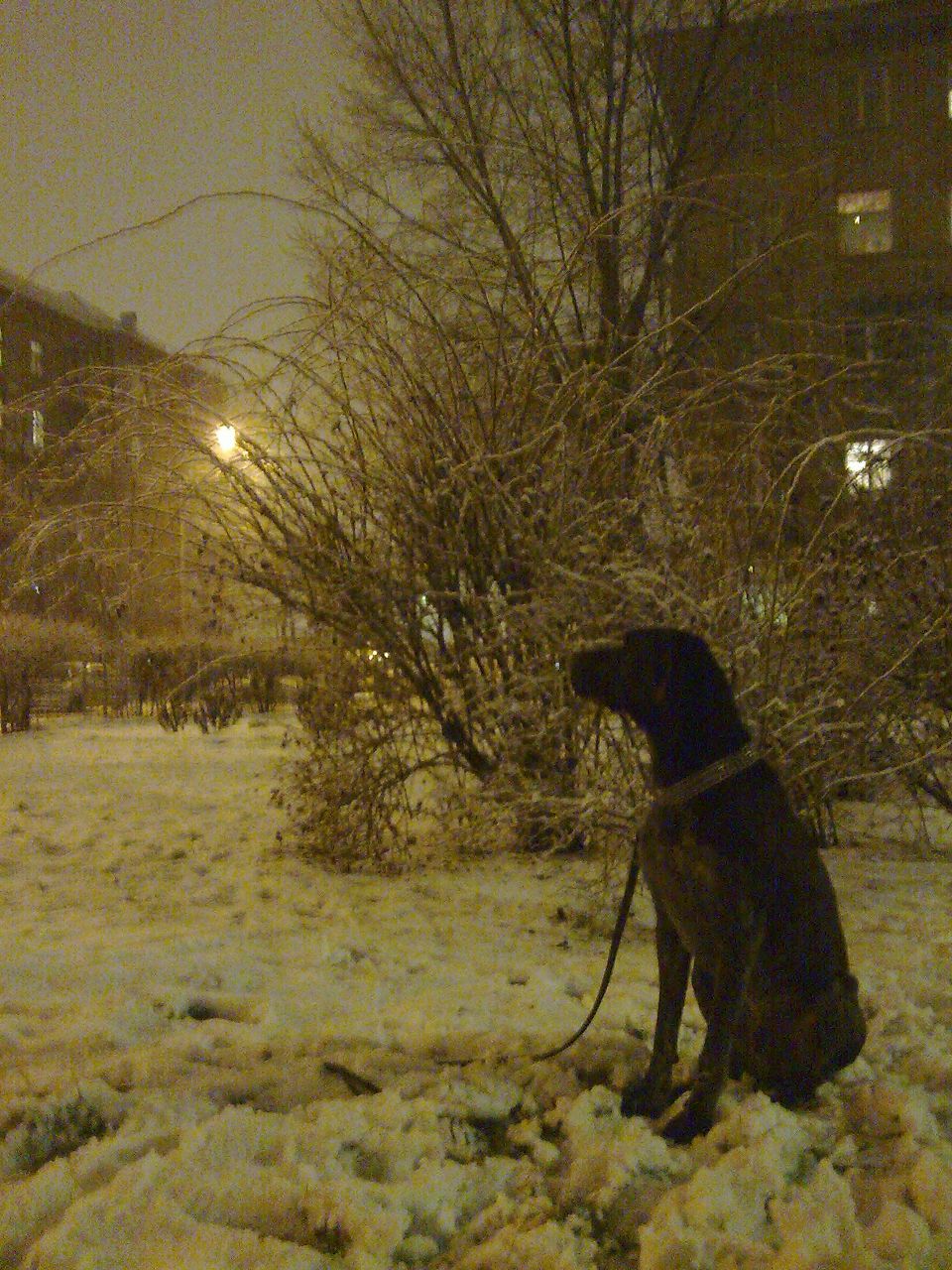 Мария Огневенкова | Киев