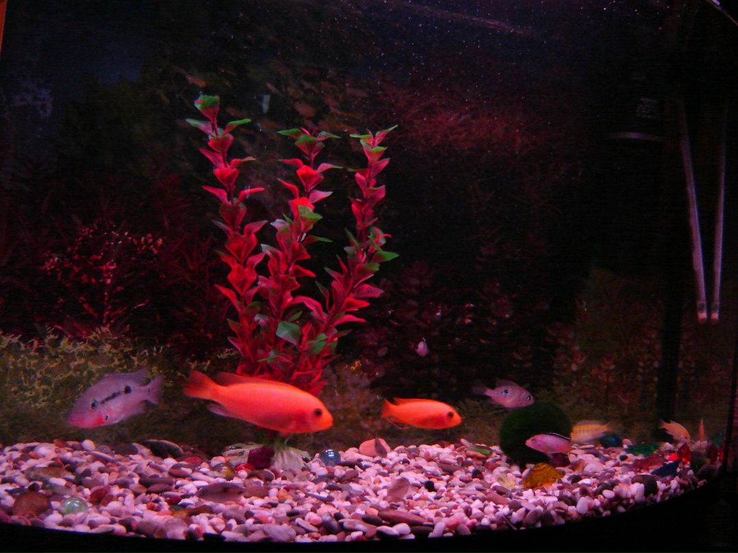 Олег Матрохин | Харьков