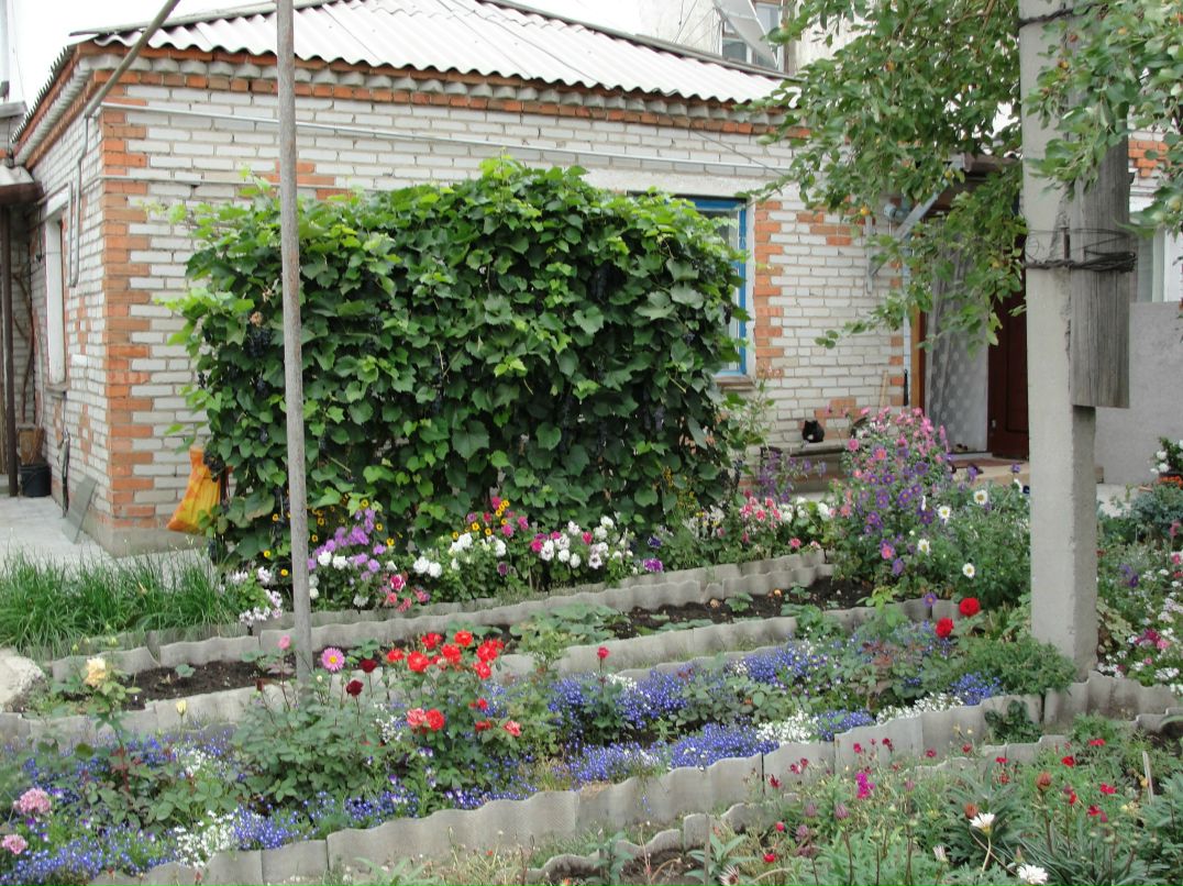 Ольга Дручина | Тюмень