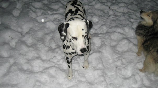 №87, Ольга Кузнецова, 69 лет, Москва №87, Ольга Кузнецова, 69 лет, Москва