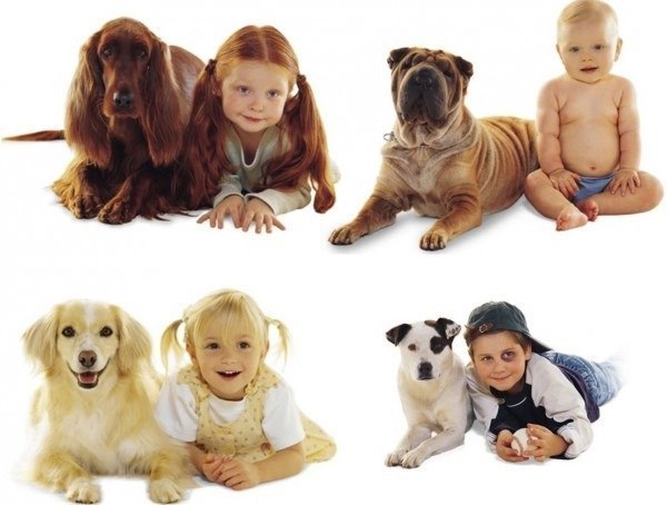 Николай Старжинский | Москва