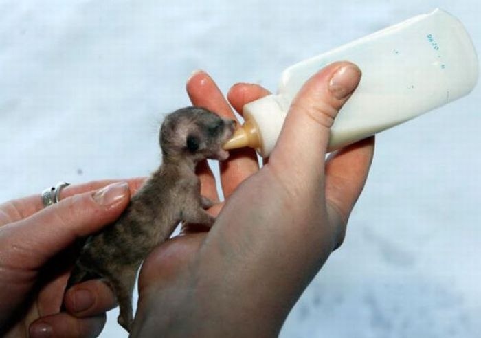 Лена Хломко Хелен | Петрозаводск