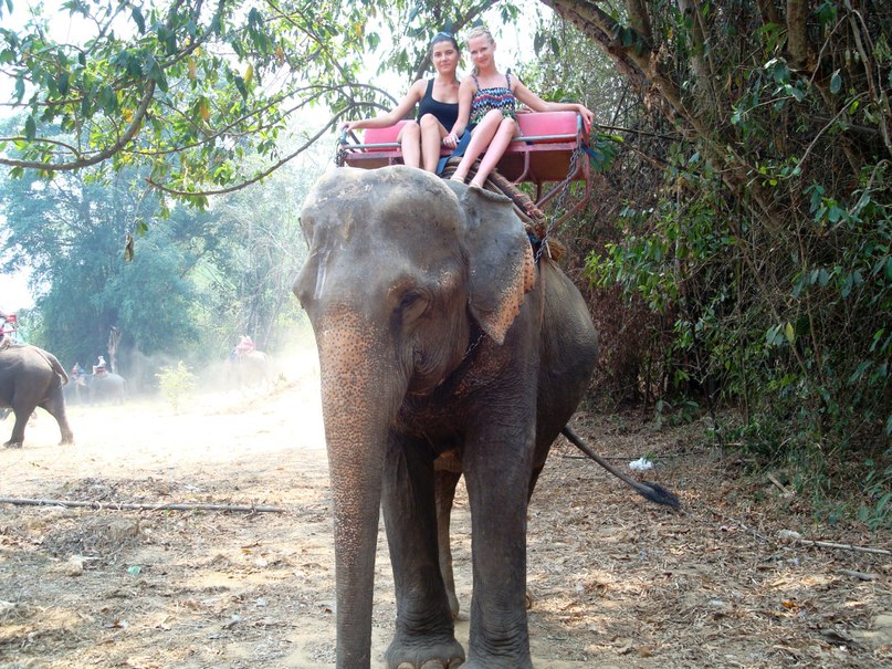 Марина Толкачева | Новосибирск
