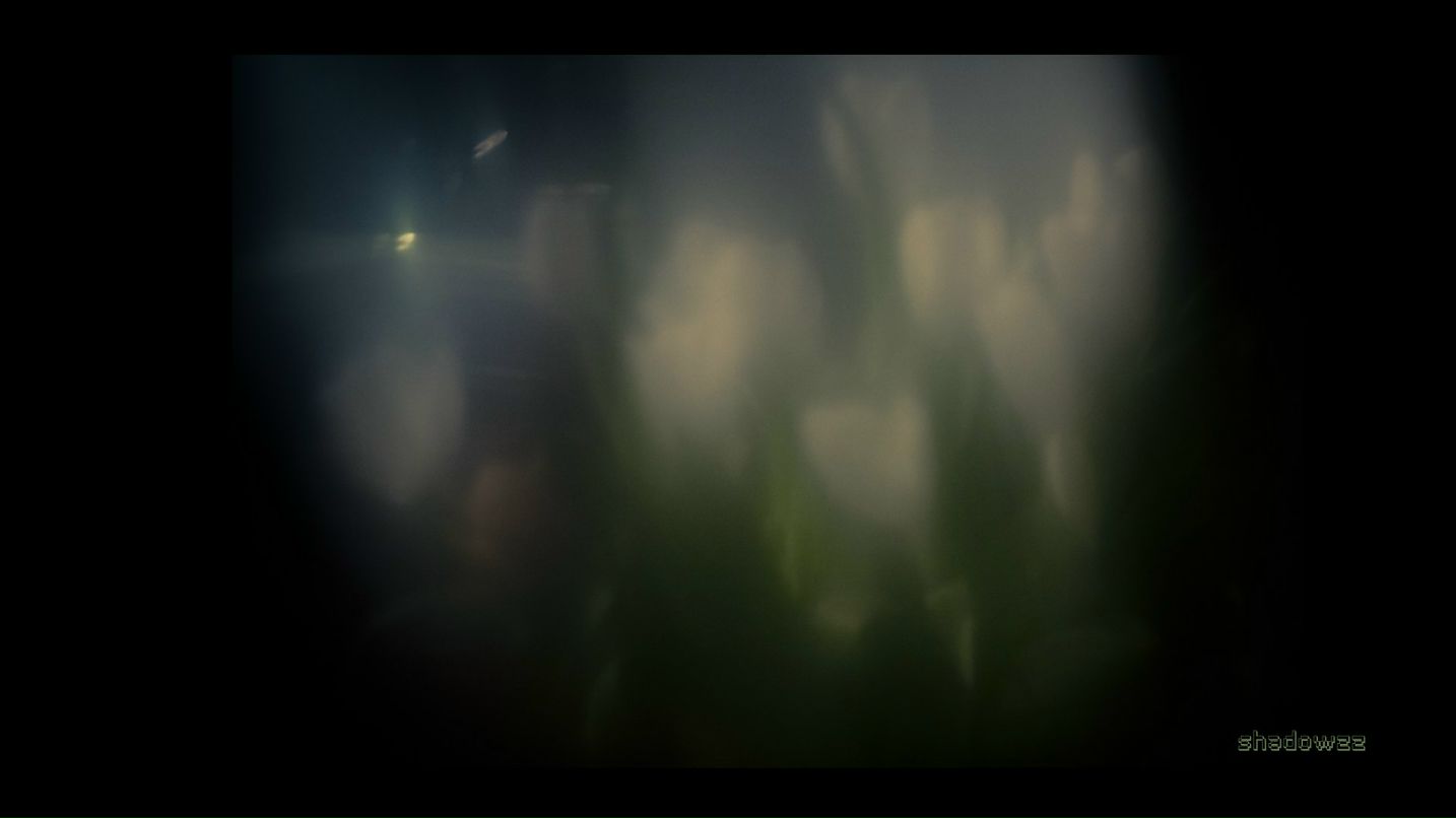 Михаил Липовой | Москва