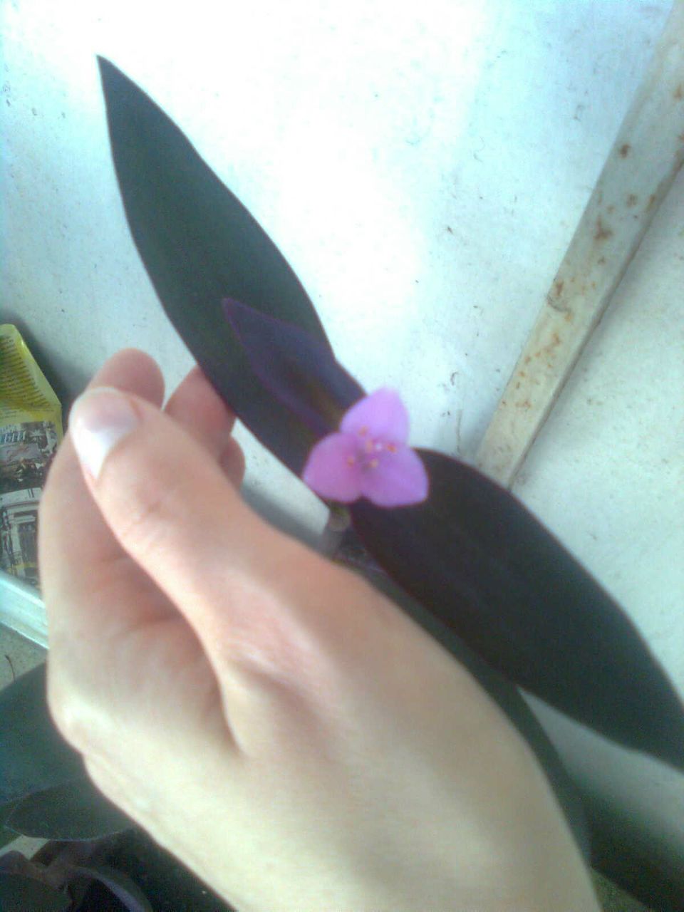 Александра Косорукова | Москва