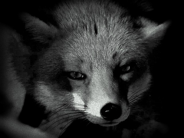 Рома Войтюк | Луцк