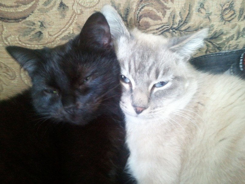 Владислав Антоненко | Тольятти