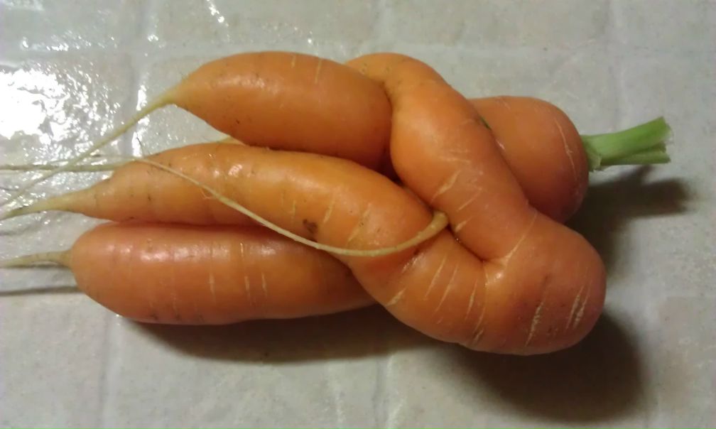 №51, Сергей Дубовик, Санкт-Петербург №51, Сергей Дубовик, Санкт-Петербург