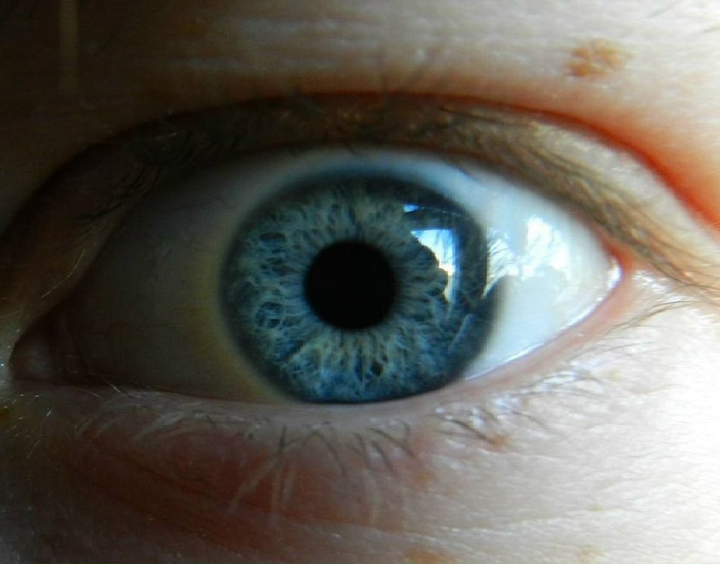 Сергей Никонов | Вологда