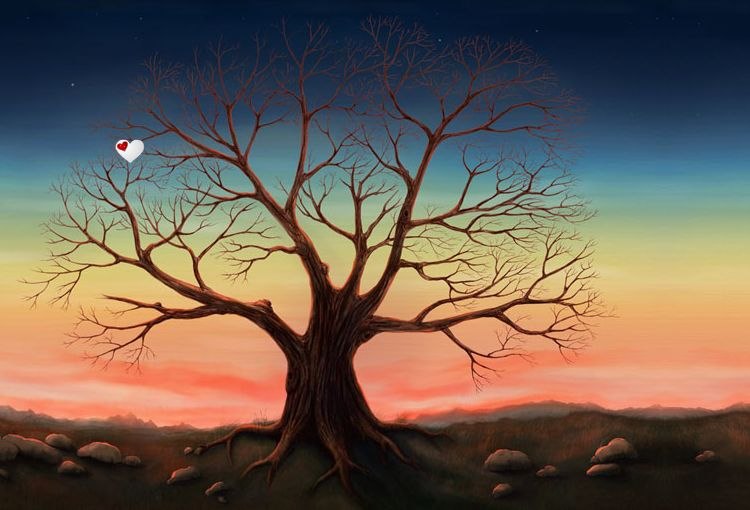 Татьяна Меркулова | Запорожье