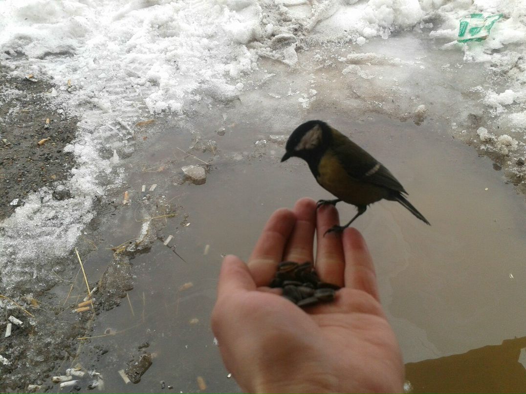 Радик Коронов | Набережные Челны
