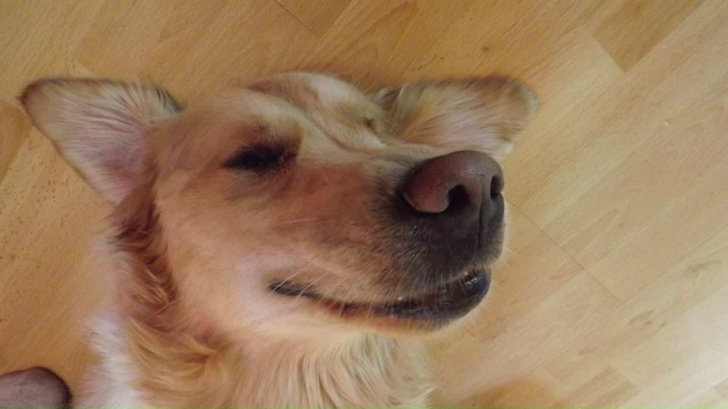 Екатерина Аратова Федоровна | Дубна