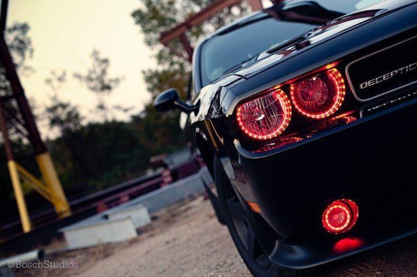 Николай Сергеевич | 