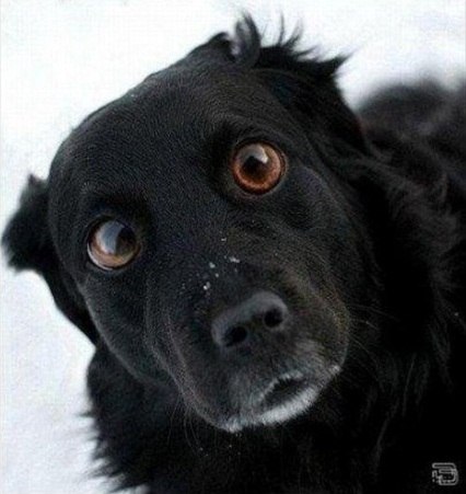 Олег Заднипряный | Днепр (Днепропетровск)