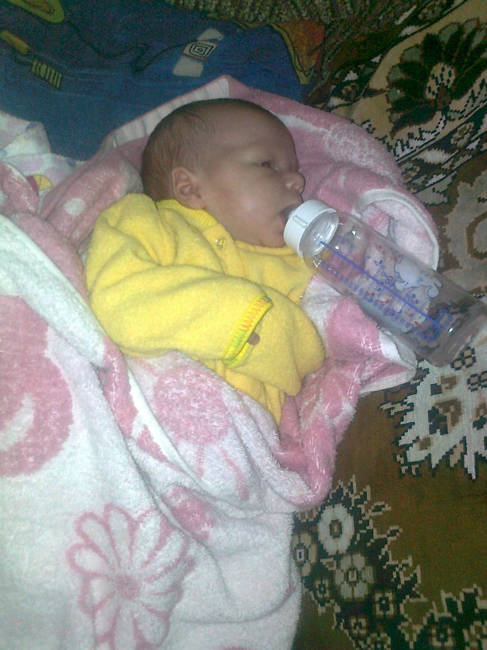 Димон Исаев | Зеленый Гай