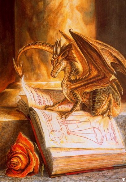 Дарья Галдина | Запорожье