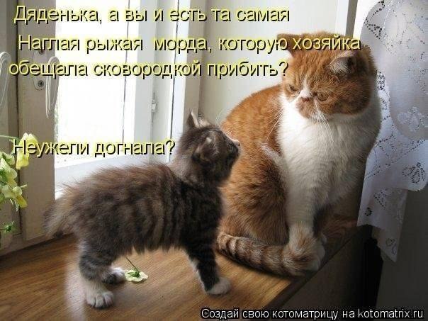 Валерия Лисеенко | Киев