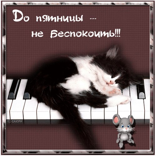 БОДИФЛЕКС - Киев Студия Елены Бас