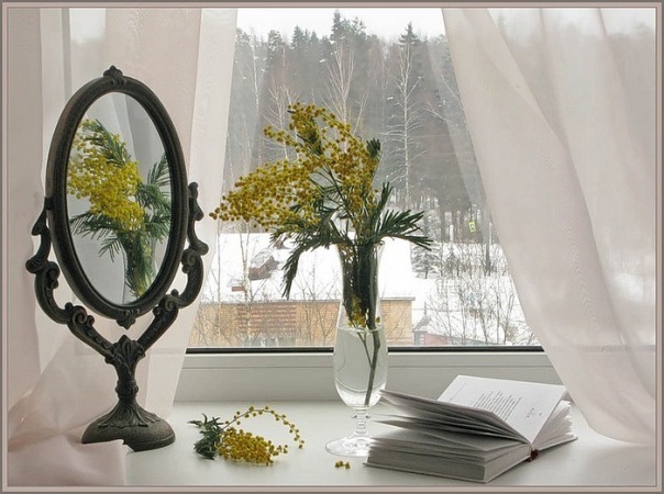 №3, Тина Волос №3, Тина Волос