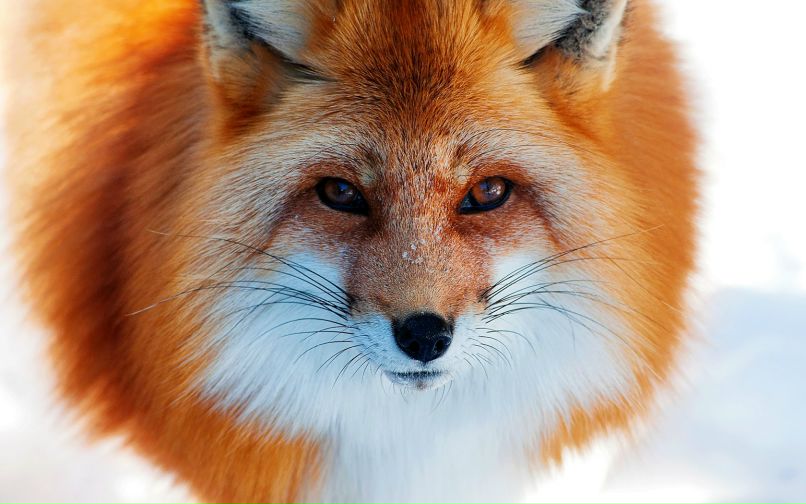 Ekaterina Afanasieva | Казань