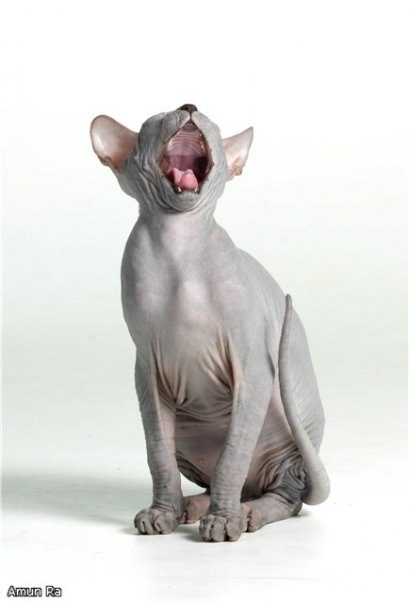 Вадим Шмырко | Киев