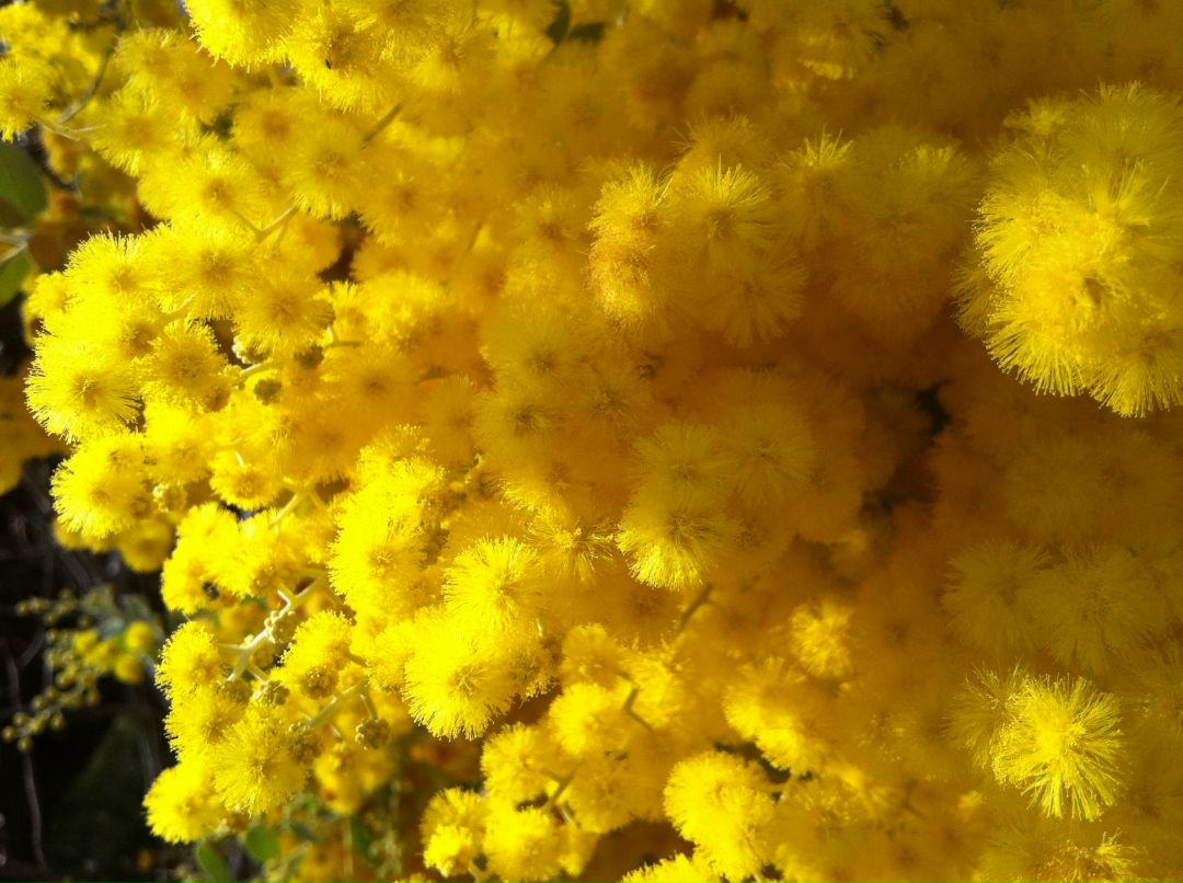 Наташа Холодная | 