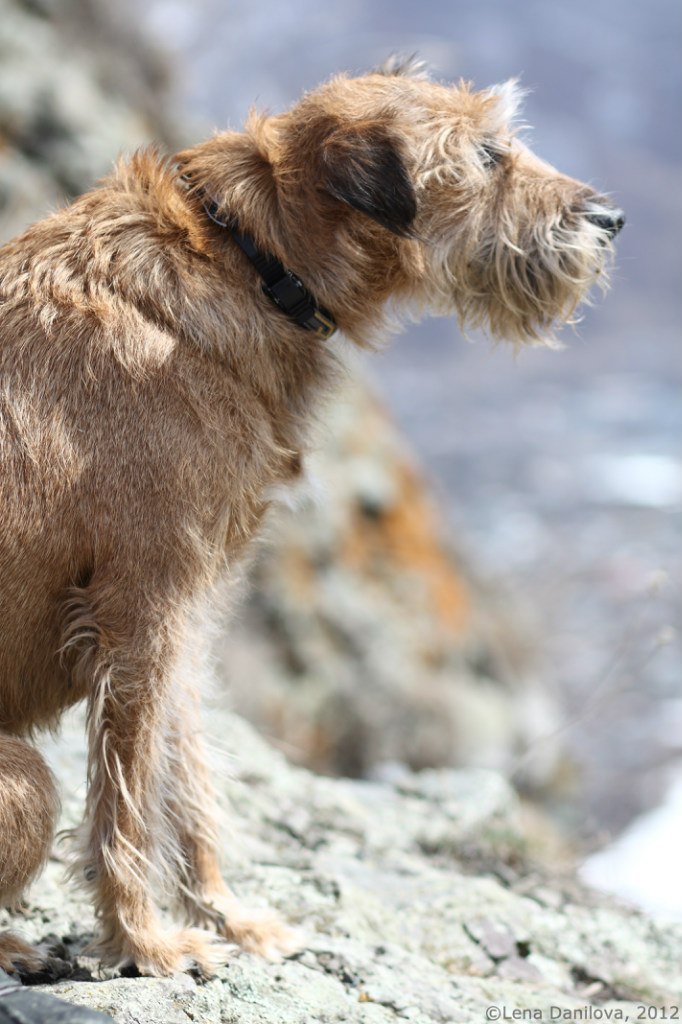 Александр Крекотень | Москва