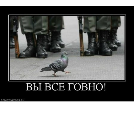 Егор Мухин | Самара