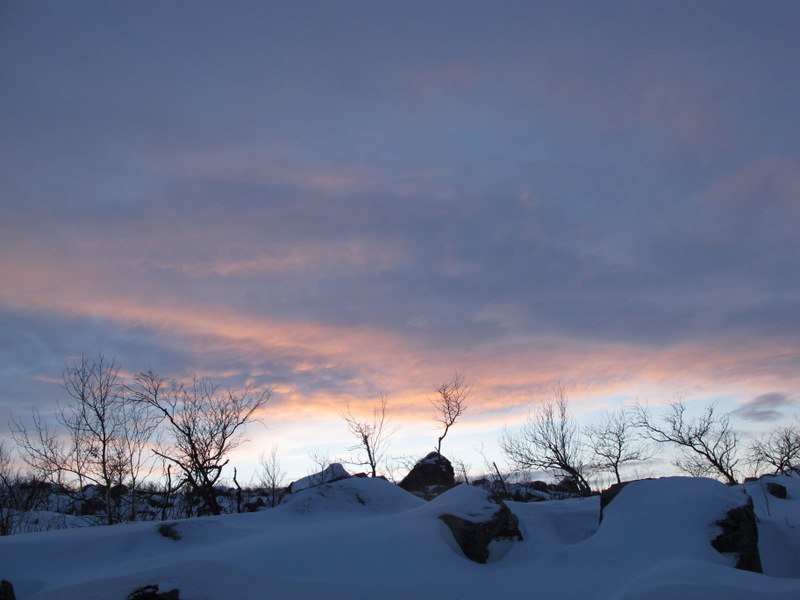 Степан Типикин | Москва
