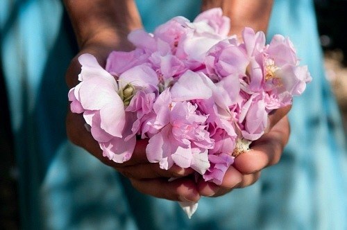 Елена Лузина | Москва