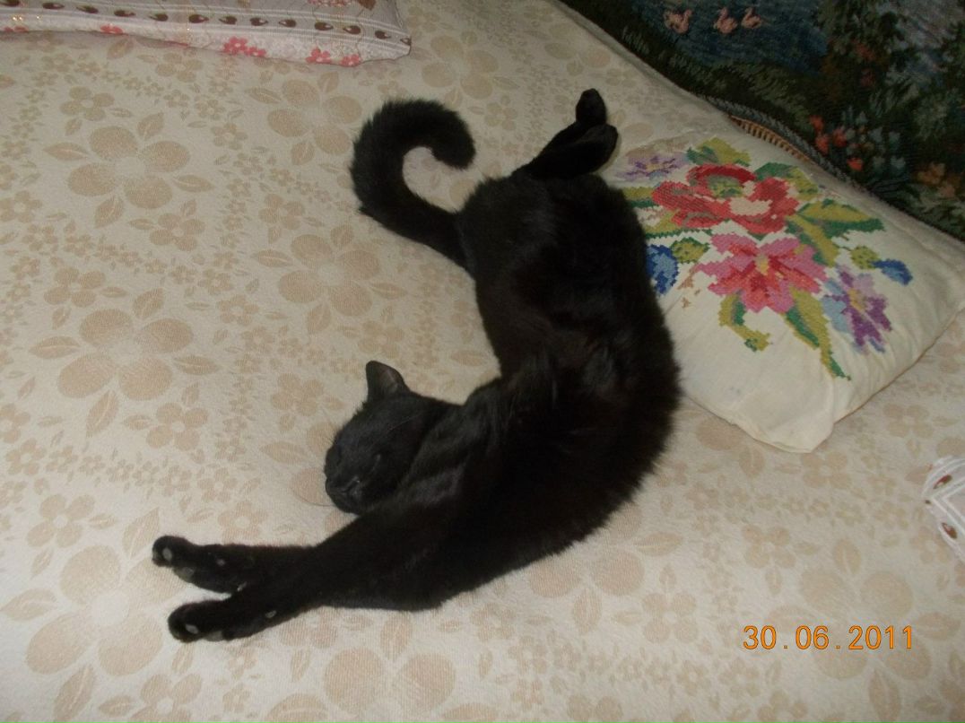 Анна Никитина | Санкт-Петербург