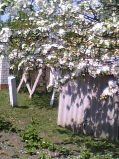 Александр Матюшев | Калининград