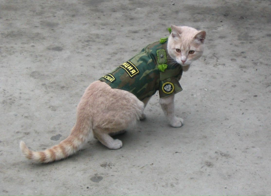 Саша Желязко | Одесса