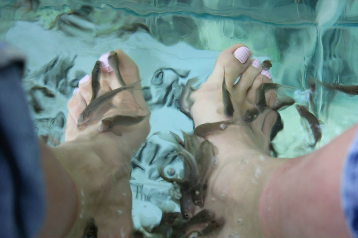 Анюта Ткачук | 